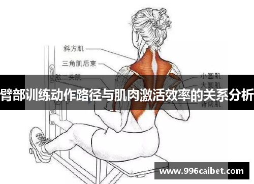 臂部训练动作路径与肌肉激活效率的关系分析