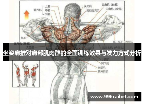 坐姿肩推对肩部肌肉群的全面训练效果与发力方式分析